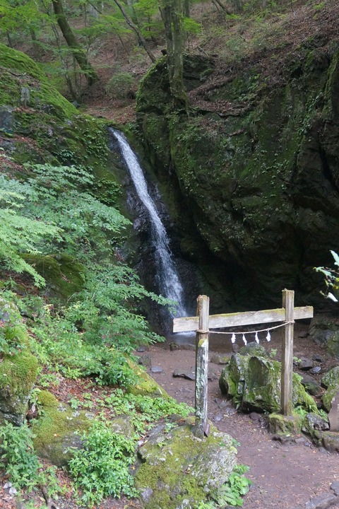DSC02100