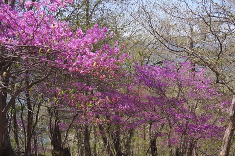 DSC01748