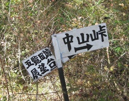 イメージ 8