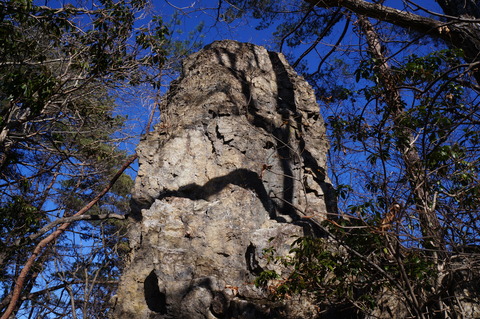 DSC09906如金峰