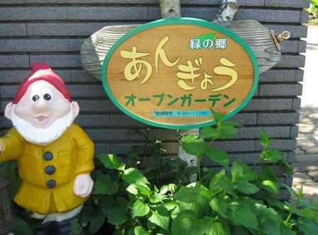 イメージ 11