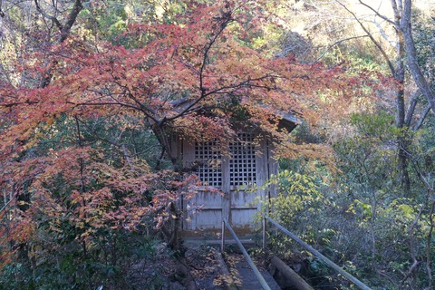 DSC09145