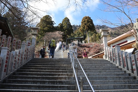 IMG_8914 - コピー