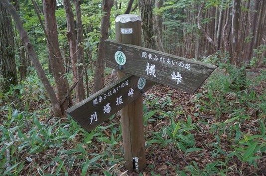 イメージ 9