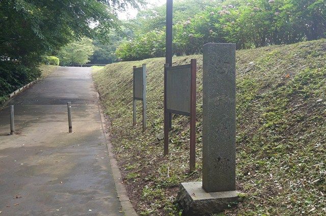 イメージ 4