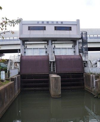 イメージ 17