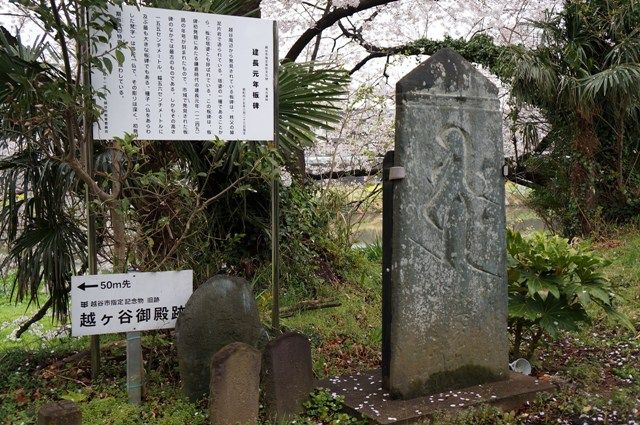 イメージ 4