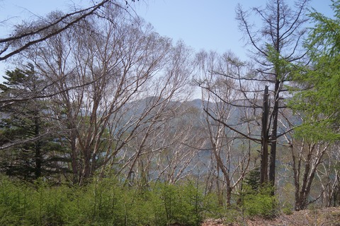 DSC01737