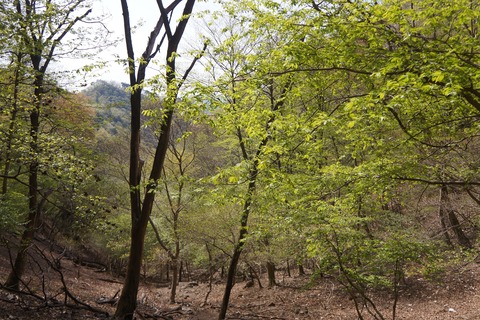 DSC00921