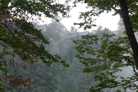 DSC02134
