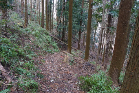 DSC00022