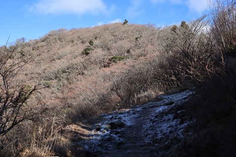 IMG_8891 - コピー