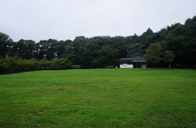 イメージ 6