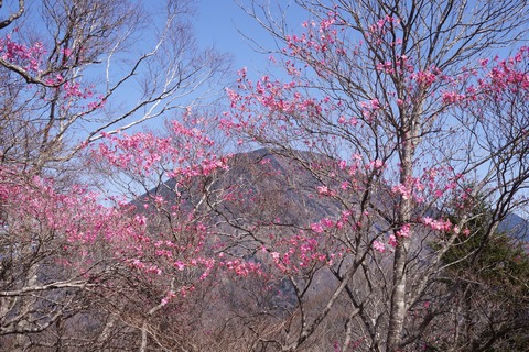 DSC01363