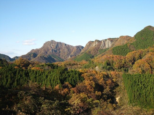 イメージ 17