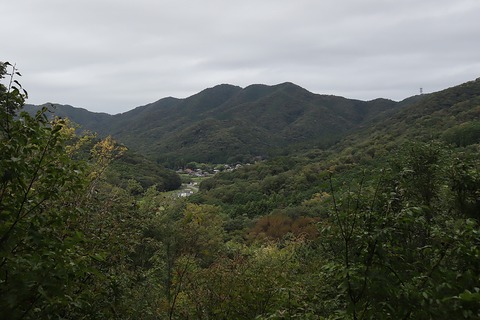 IMG_7510