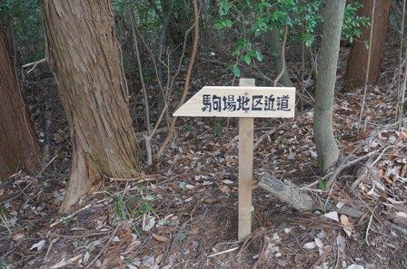 イメージ 17