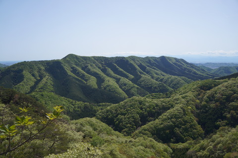 DSC07299