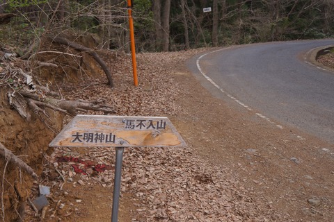DSC00309