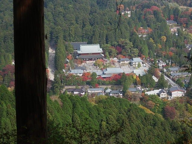 イメージ 6