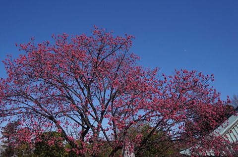DSC00467
