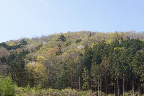 DSC01196