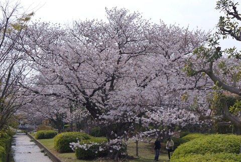 DSC04023