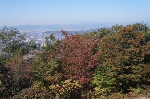 DSC08117