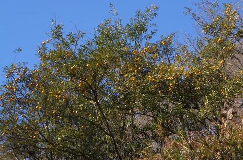 DSC05880