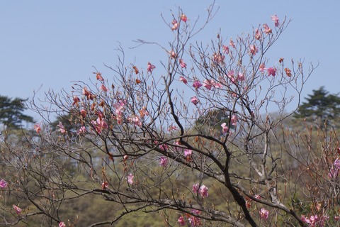 DSC00958