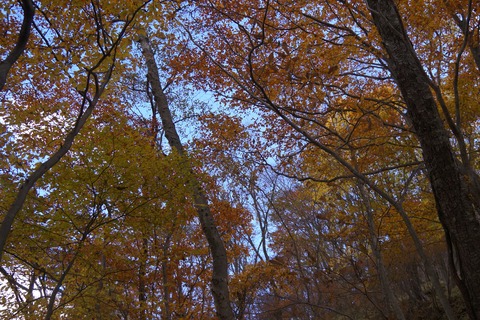 DSC02960