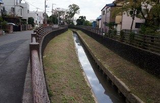 イメージ 7
