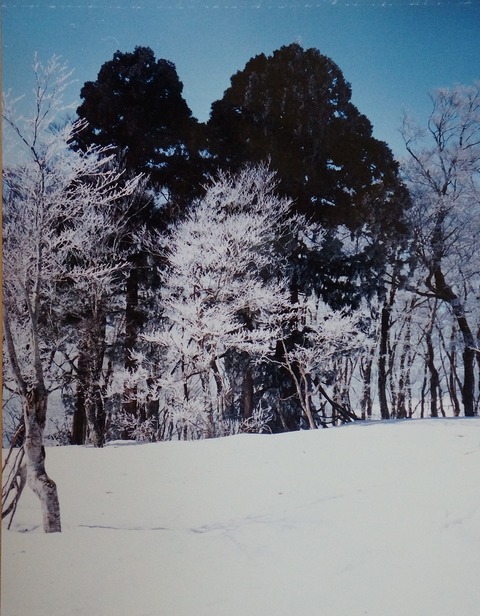 DSC04389恩原三国山