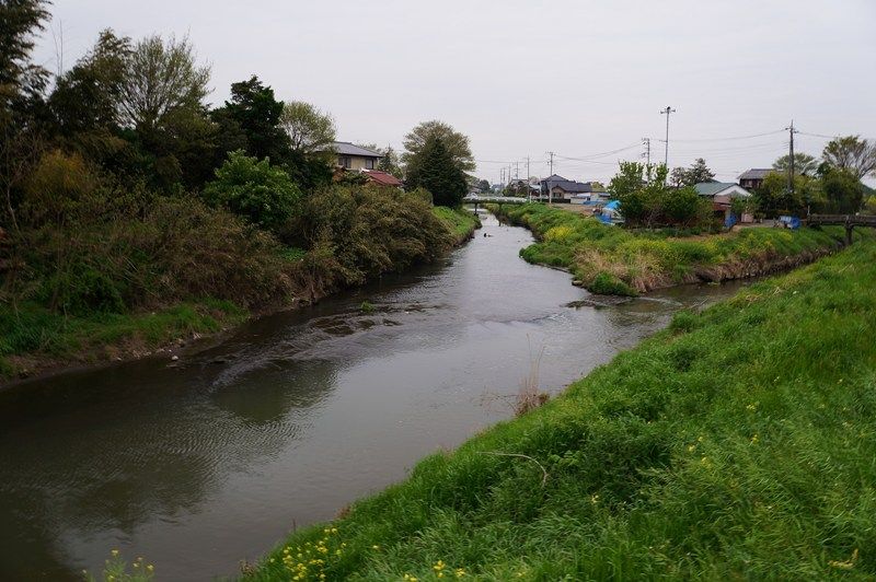 イメージ 5
