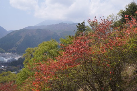 DSC01292