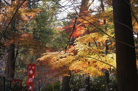 DSC05866