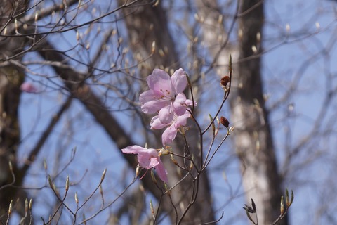 DSC01204
