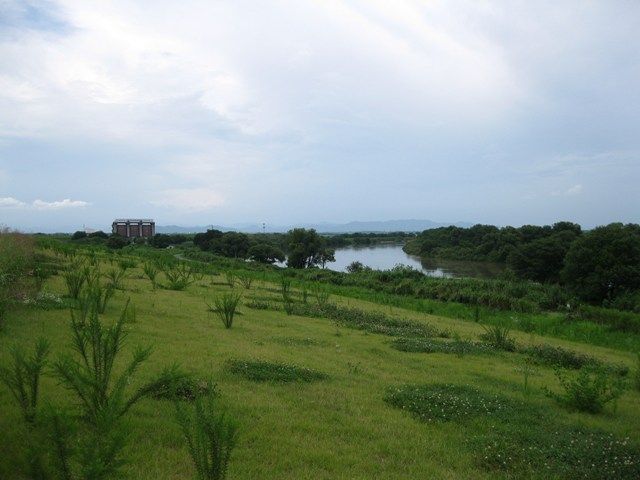 イメージ 15
