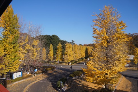 DSC08767