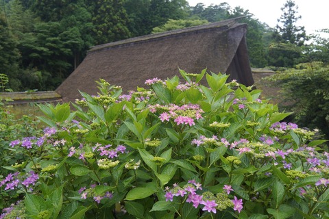 DSC02141