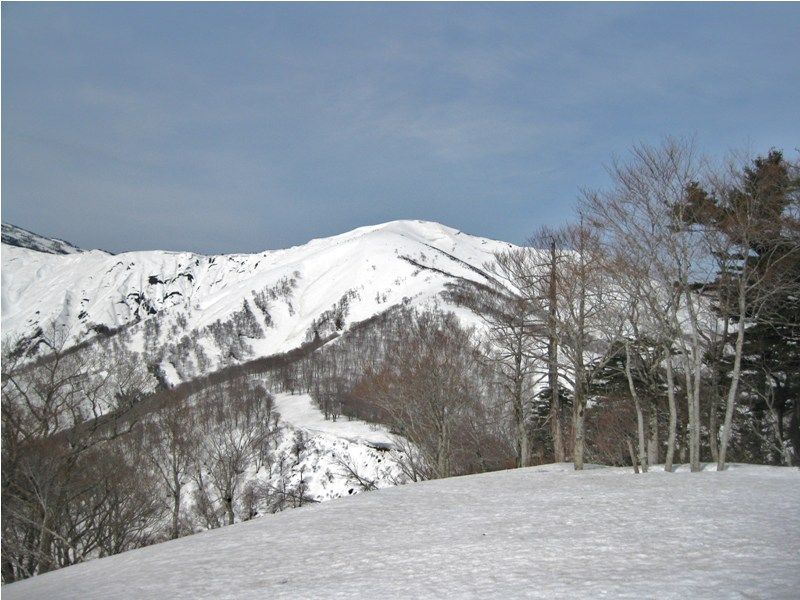 イメージ 8