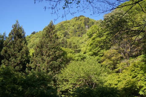 DSC01455