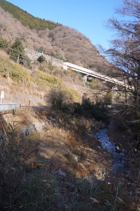 DSC09462