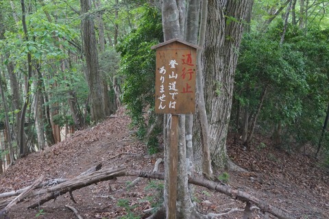 DSC01889