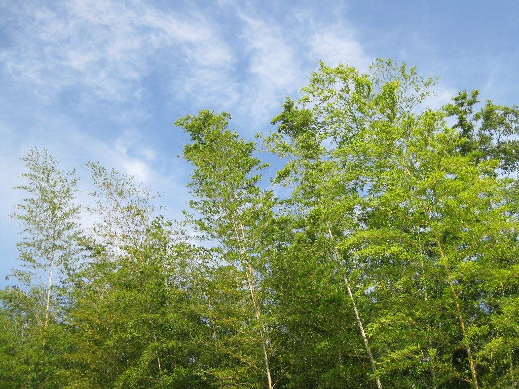 イメージ 16