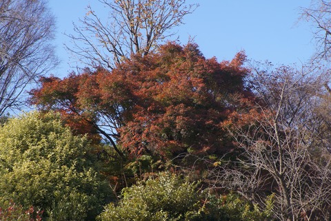 DSC08902