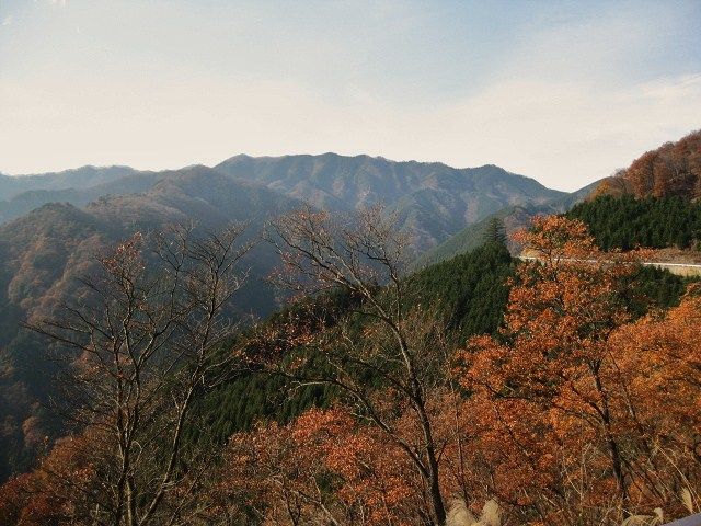 イメージ 9