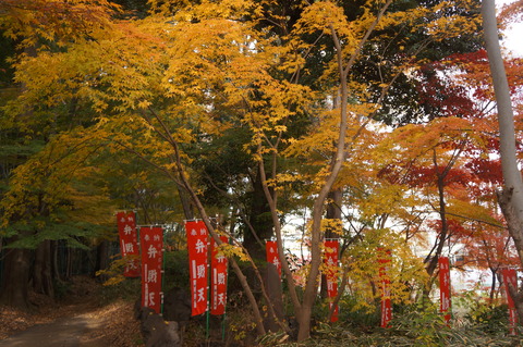 DSC03229