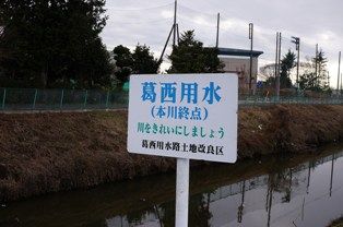 イメージ 15