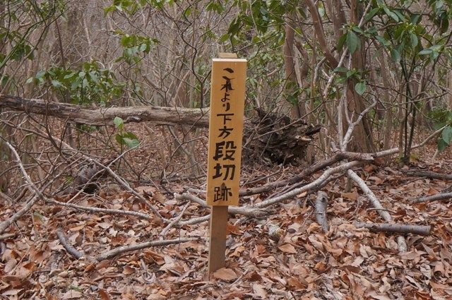 イメージ 14